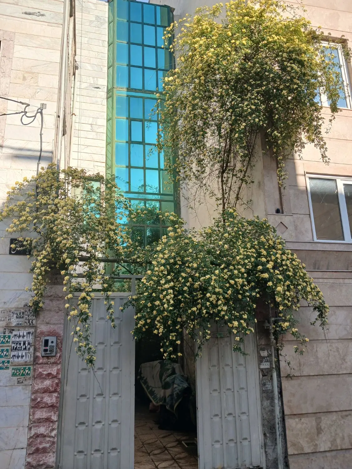 ۱۰۰متر با حیاط  واحد ۸۵ متر. ط دوم سرحد اباد