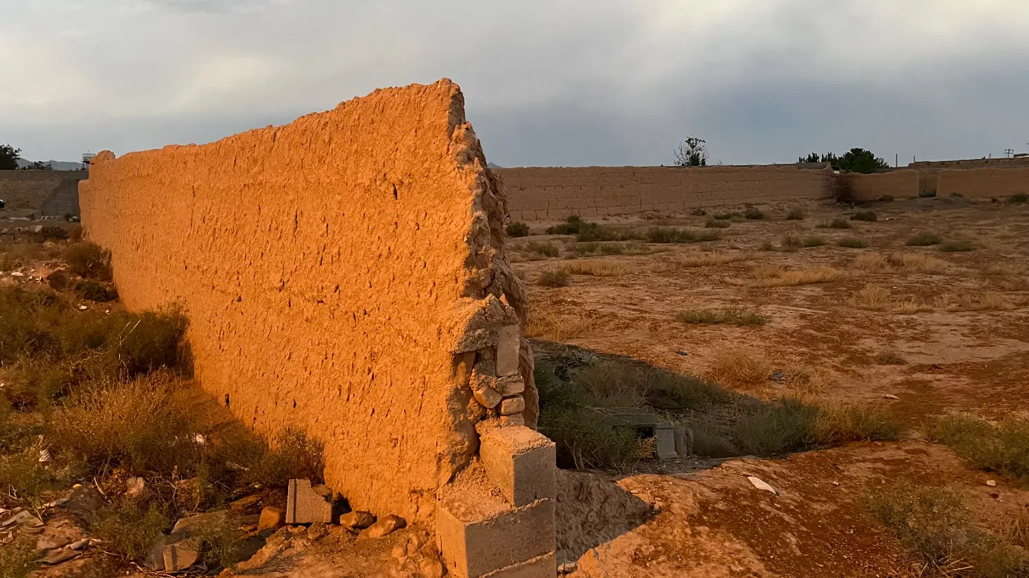 زمین کشاورزی جاده رویان