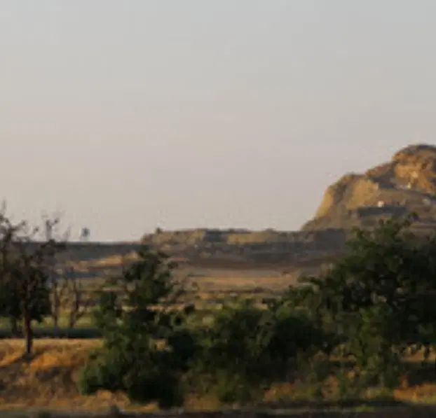 باغ سنگستان