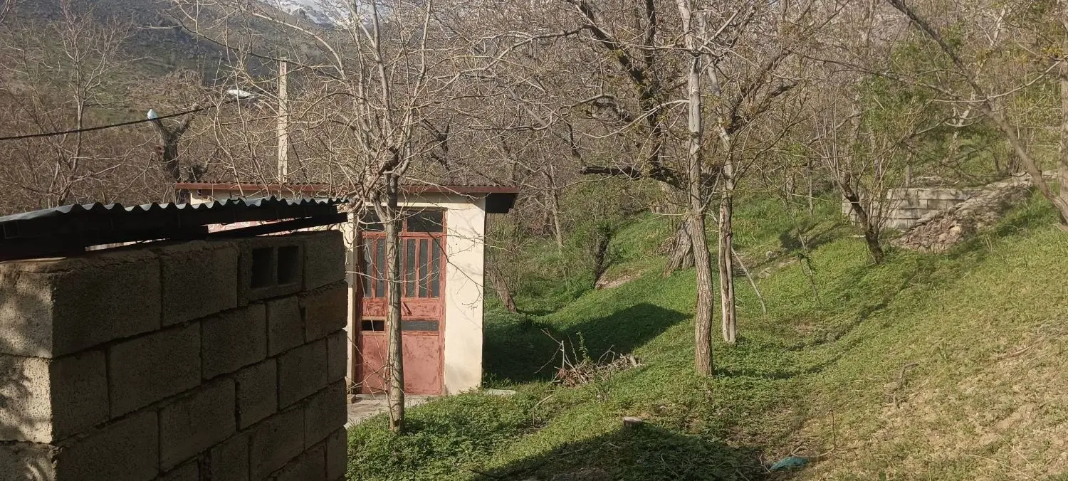 باغ حدودا ۸۰۰ متری