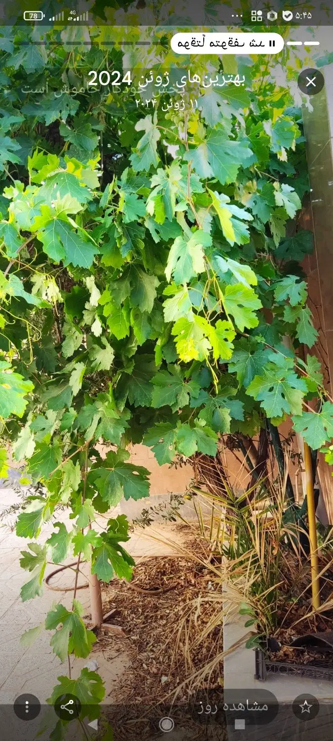 خانه ویلایی فروشی