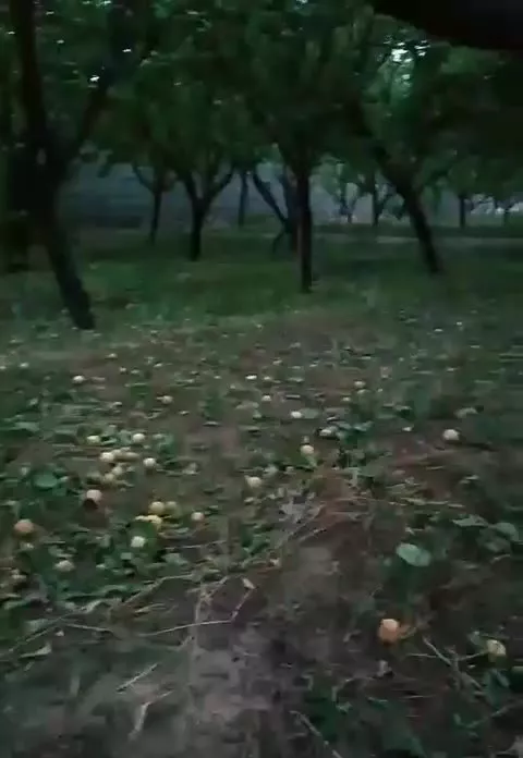 باغ ۸۰۰ متر مربع روستای بازمرگان معاوضه با ماشین