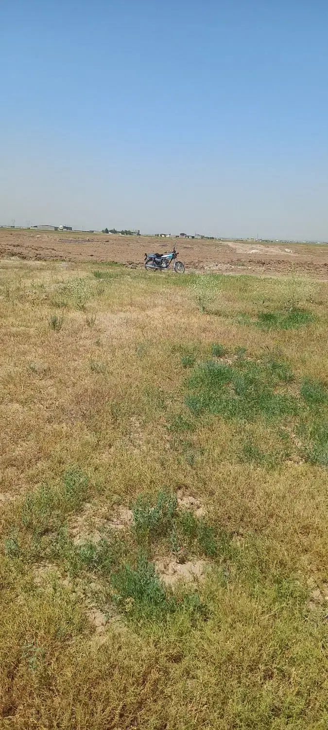 سه قطعهزمین هزار متری