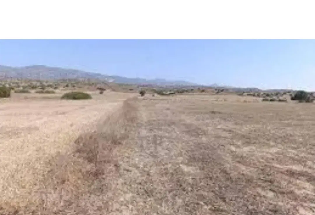 زمین قراردادی