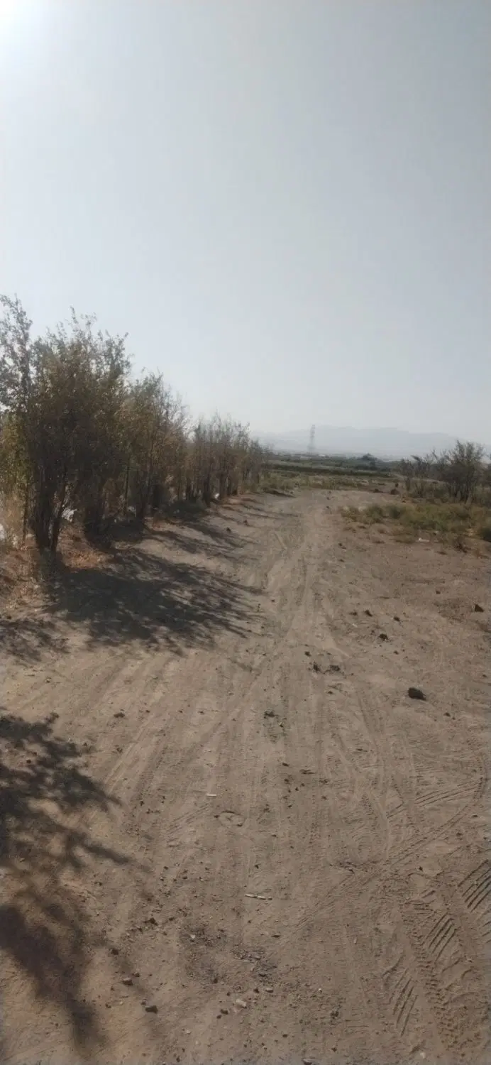 زمین باغی و آب