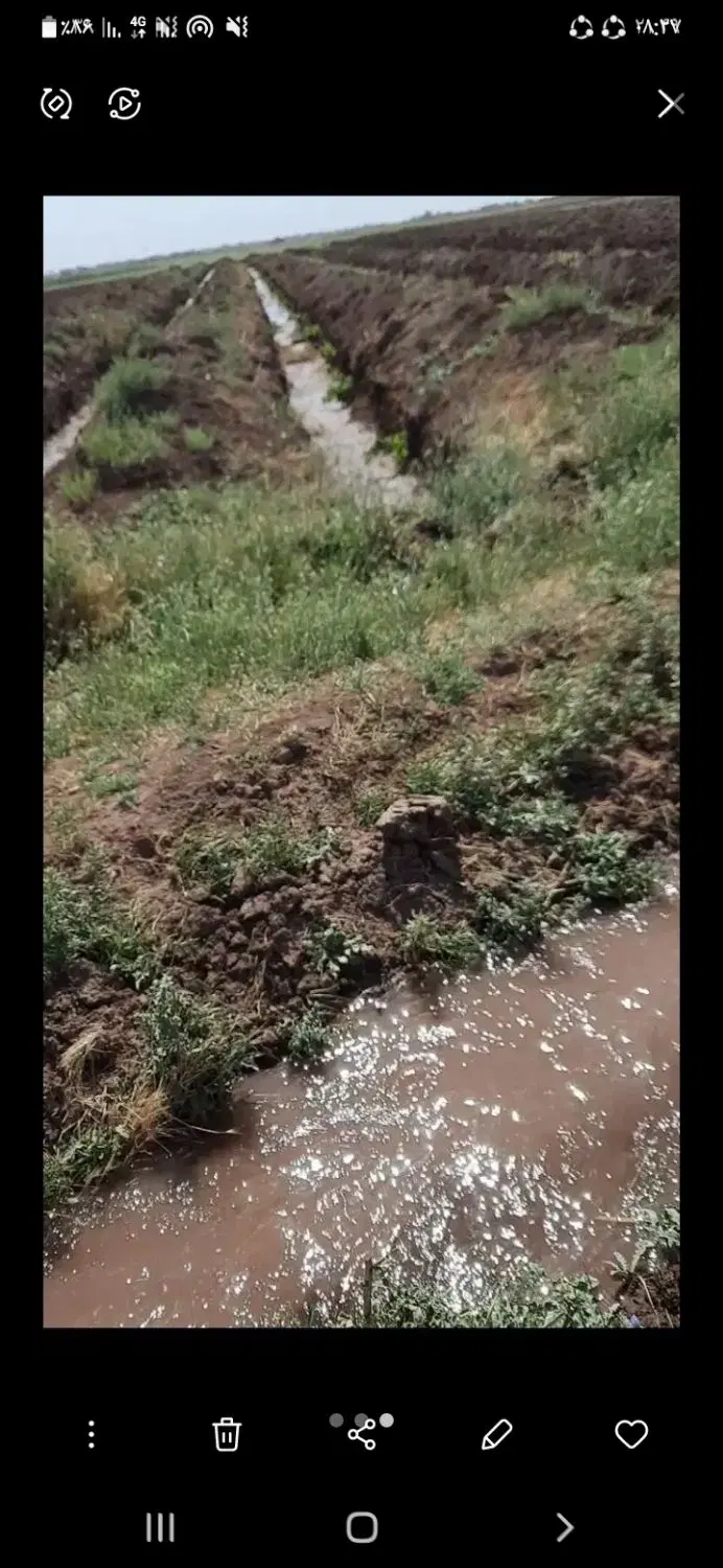 زمین کشاورزی دیمی محمودابادنمونه