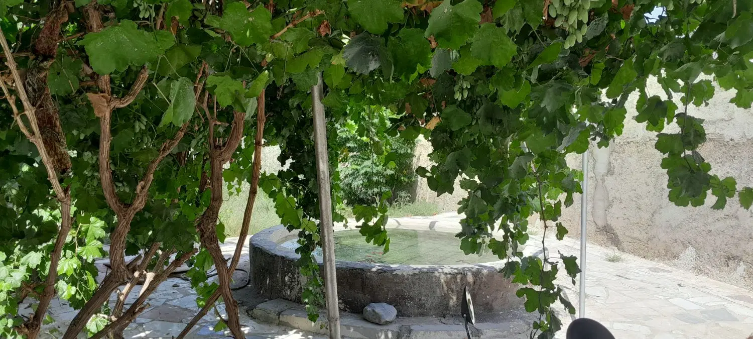 باغ