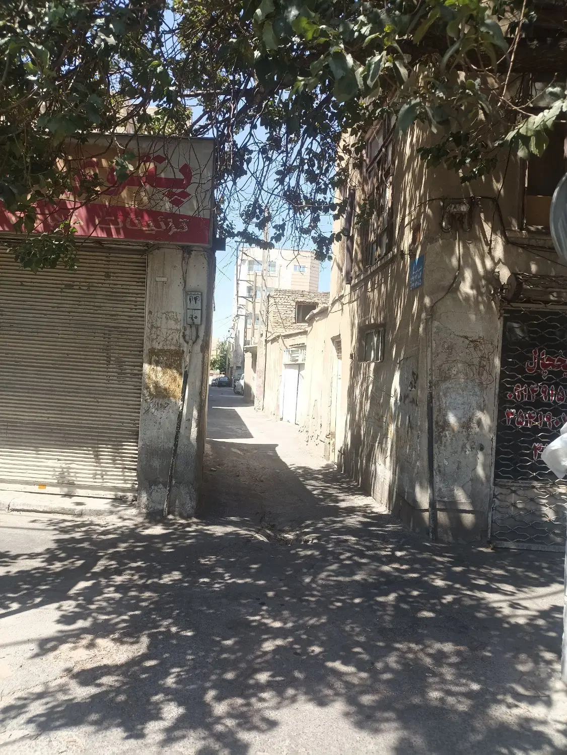 حیاط کلنگی در حافظ