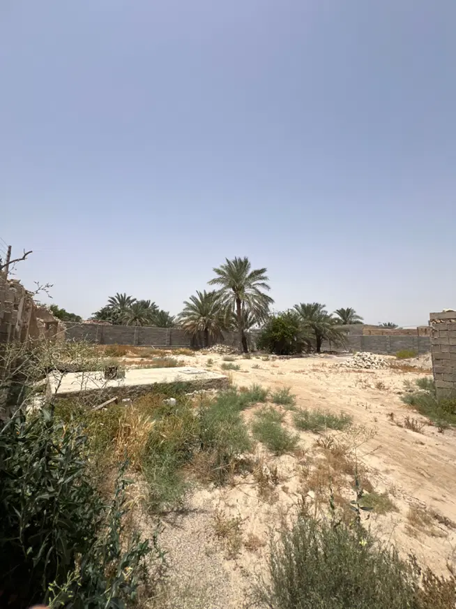 زمین مسکونی باغک جنوبی