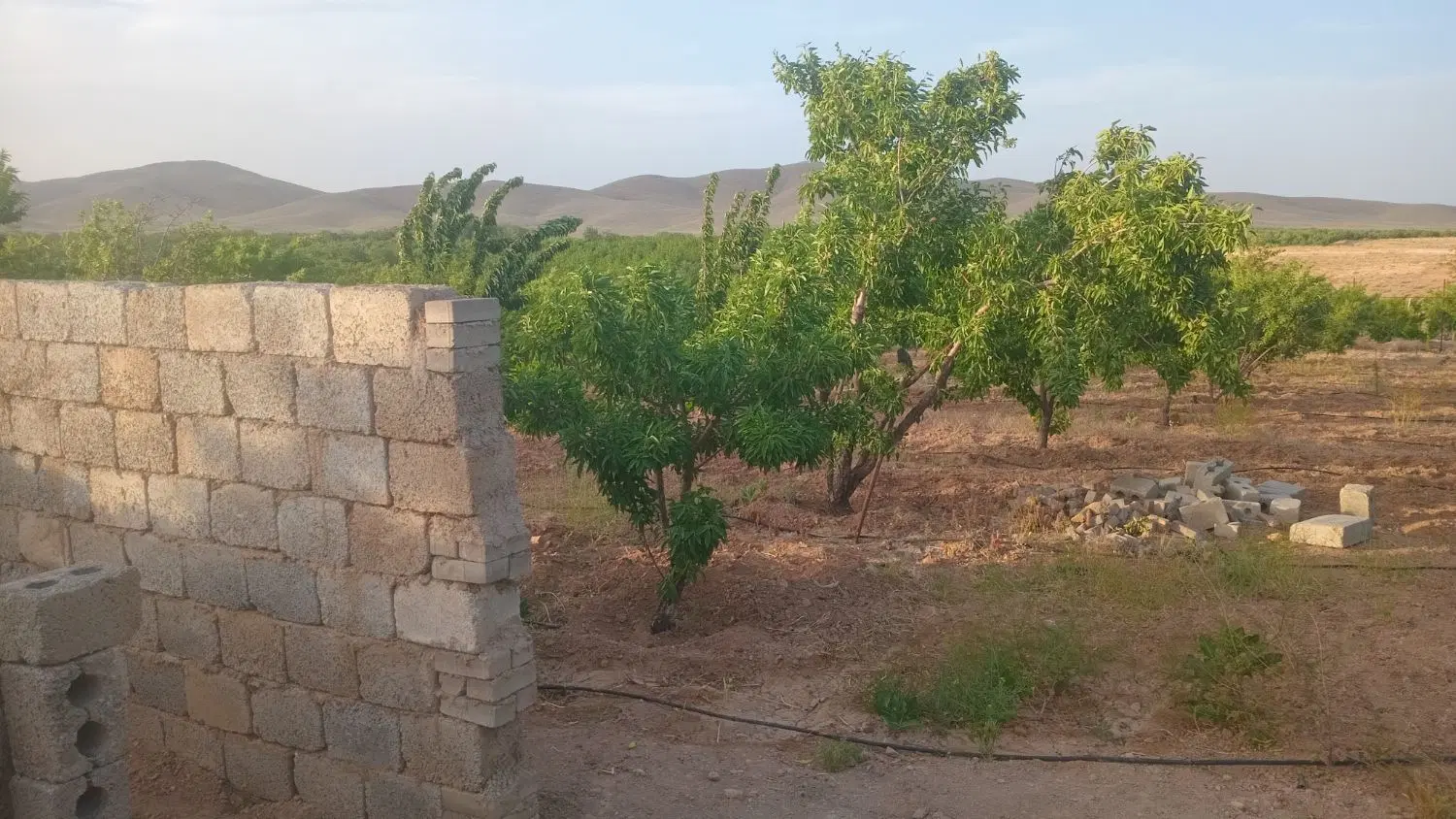 زمین