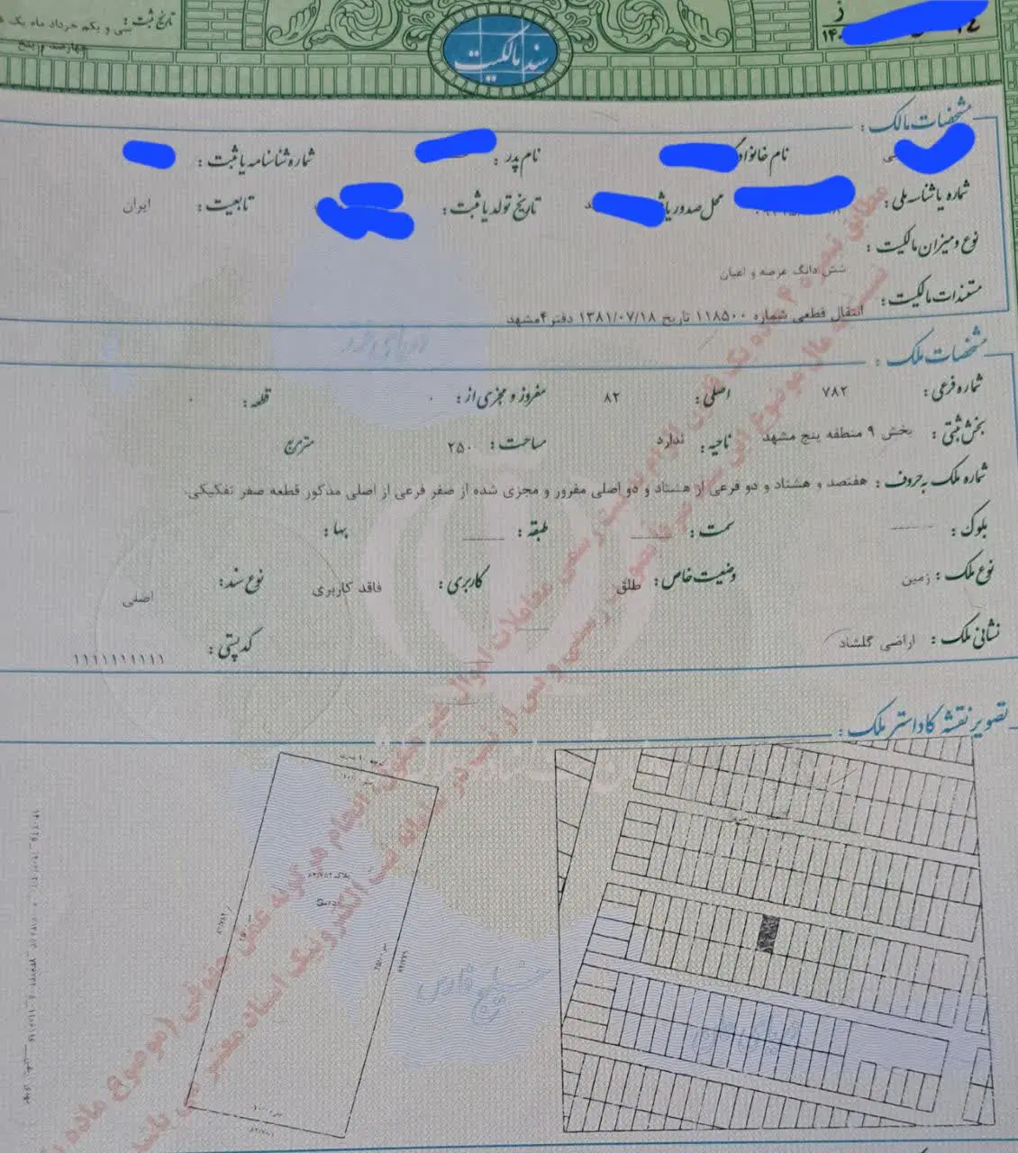 زمین سند تک برگ ملکی