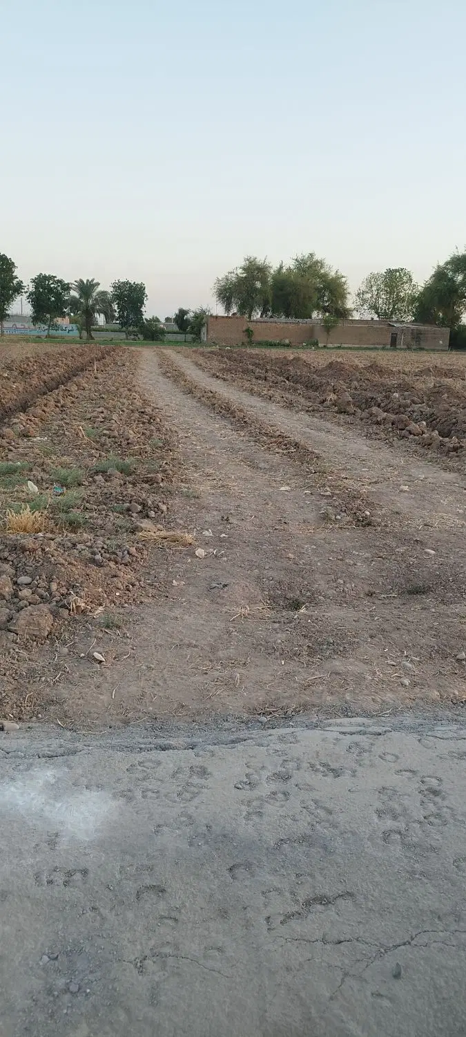 زمین باغچه ویلایی ۴۶۰متر خالص ور جاده اصلی بنجعفر