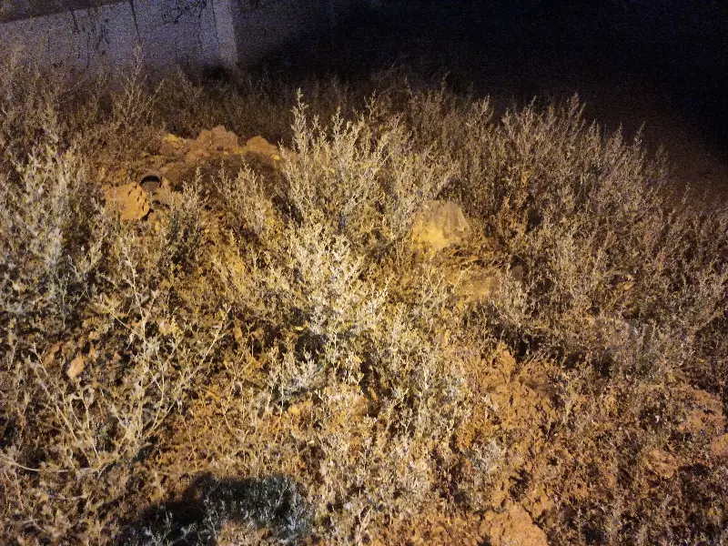 زمین در گذر دوکمال 200 متر
