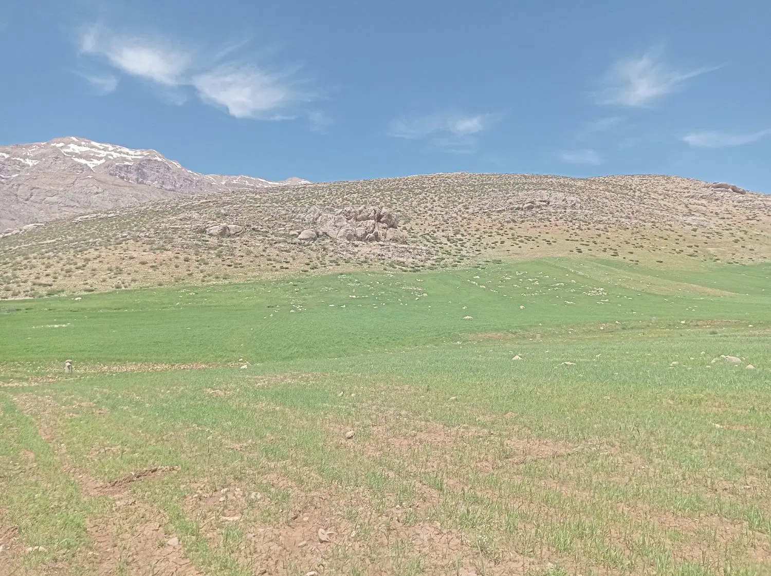 فروش زمین روبروی مسکن مهر بیمارستان
