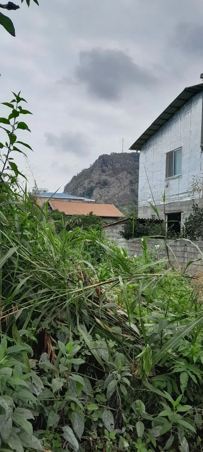 زمین مسکونی