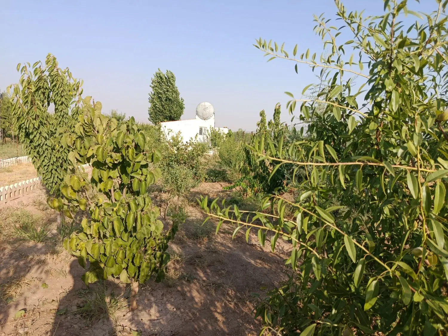 باغ‌ سرسبز در رشتقون میانبر
