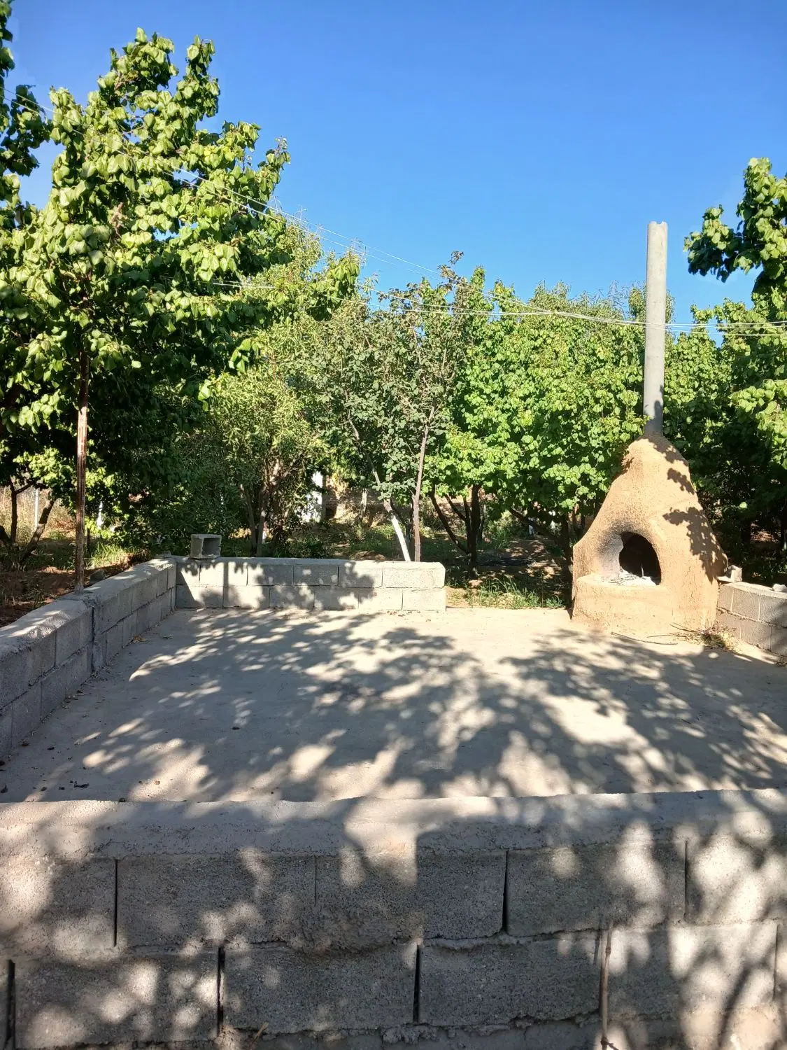 باغ میوه ای پل زمانخان سامان