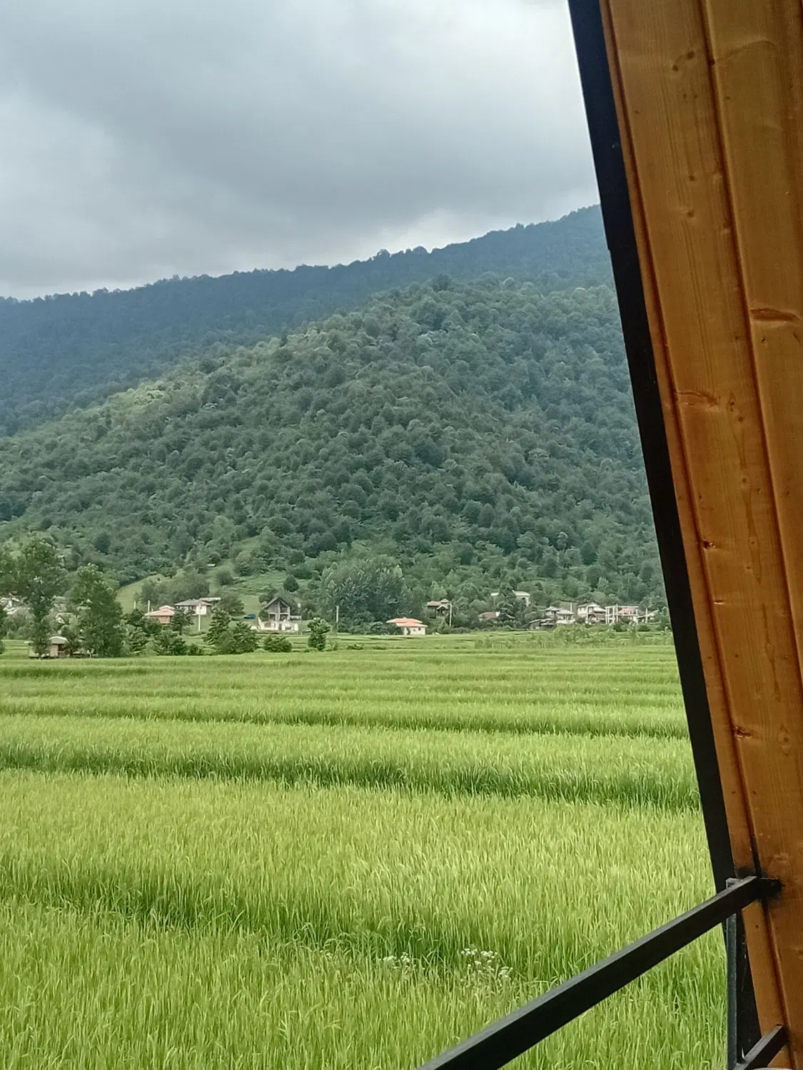 ویلا سویسی