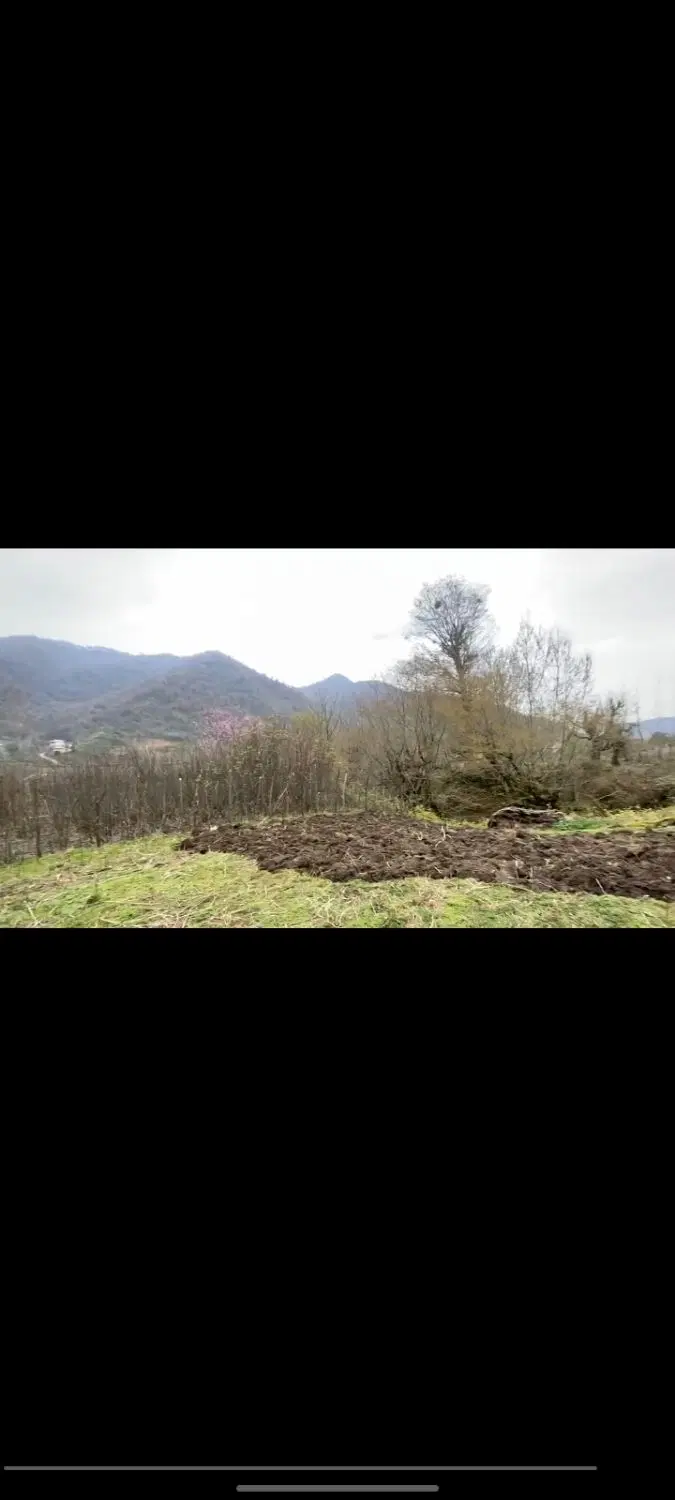 زمین ۳۶۰ متری مسکونی در قلعه رودخان