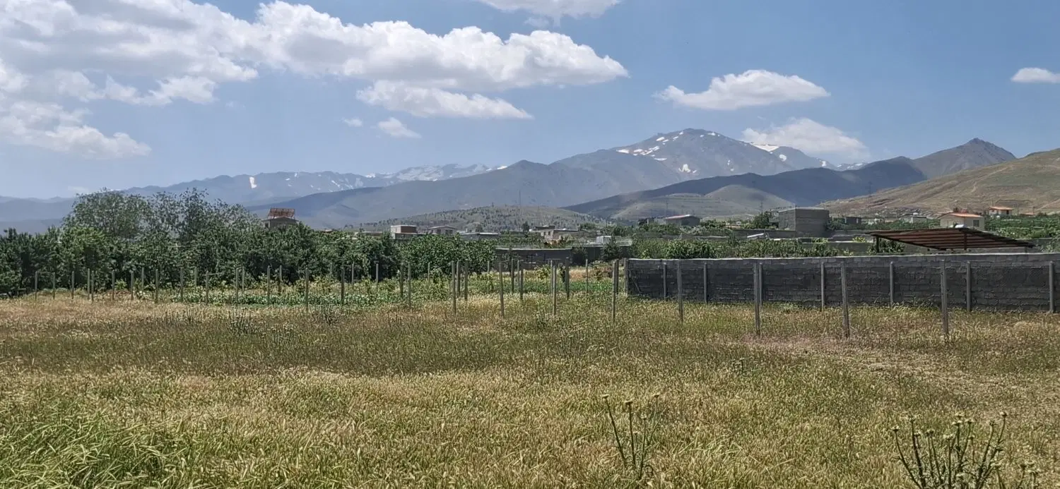 زمین باغی آینده دار