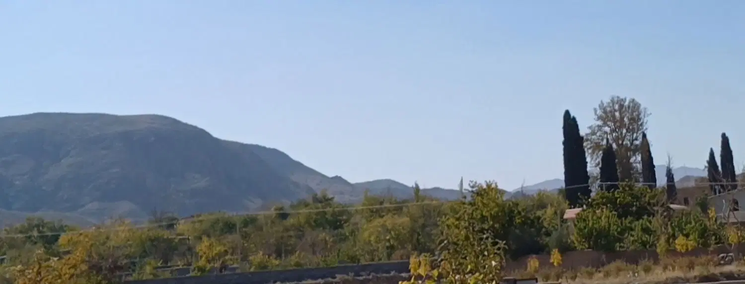 باغ نوفرست