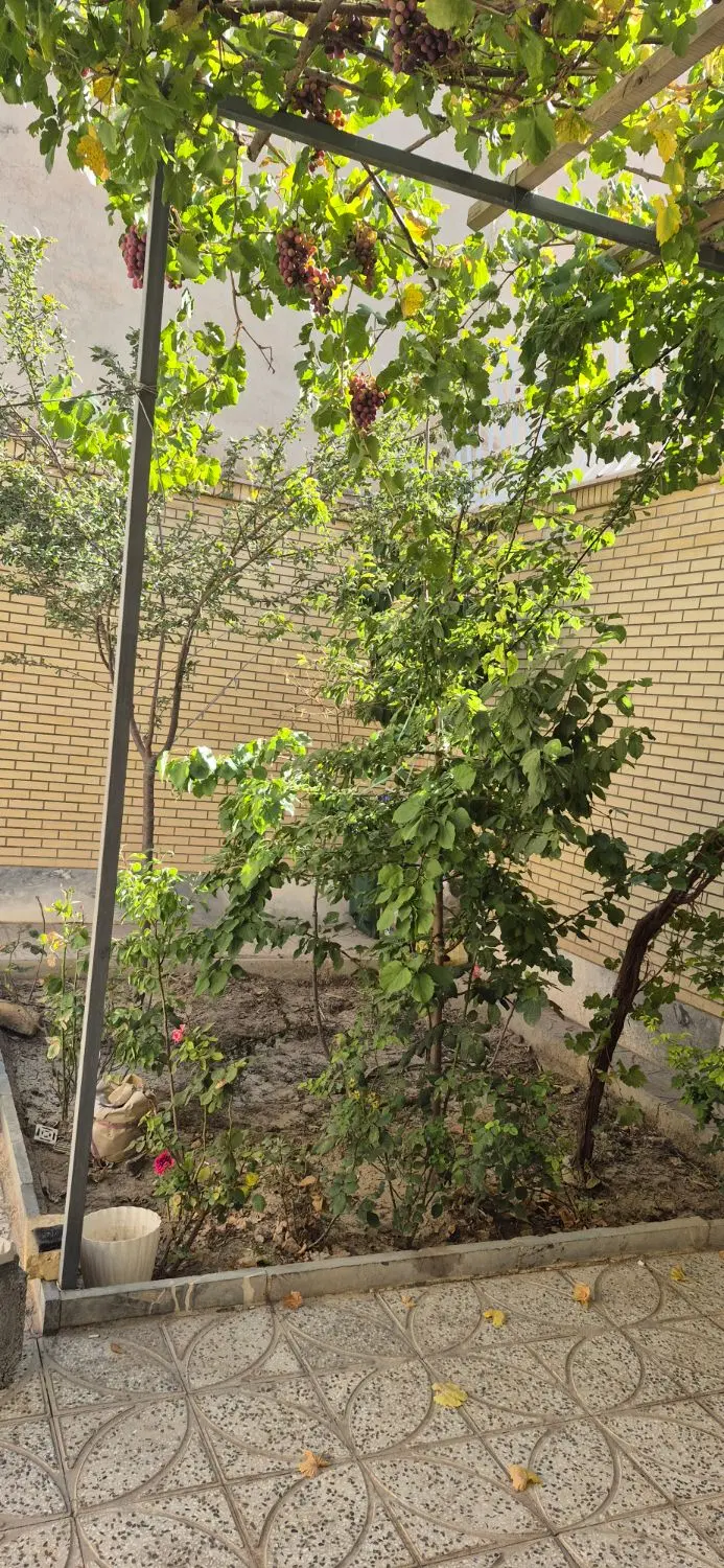 منزل ویلایی،رهن واجاره محله c1  کوچه خیبر یک