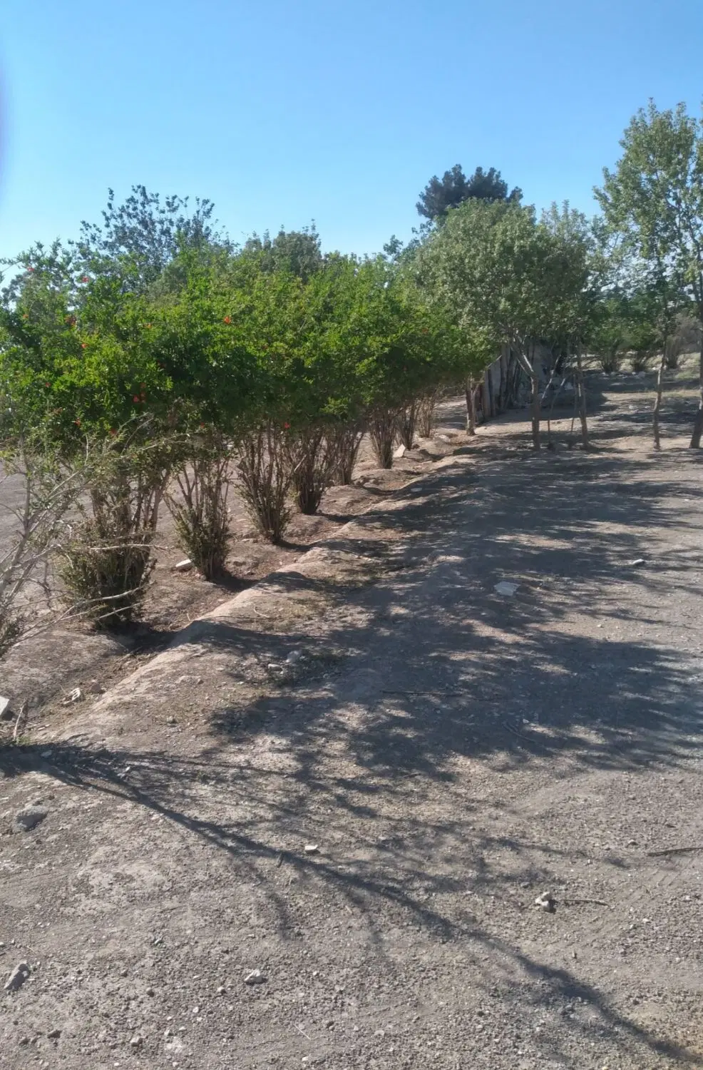 فروش زمین به متراژ ۱۰۰ متر