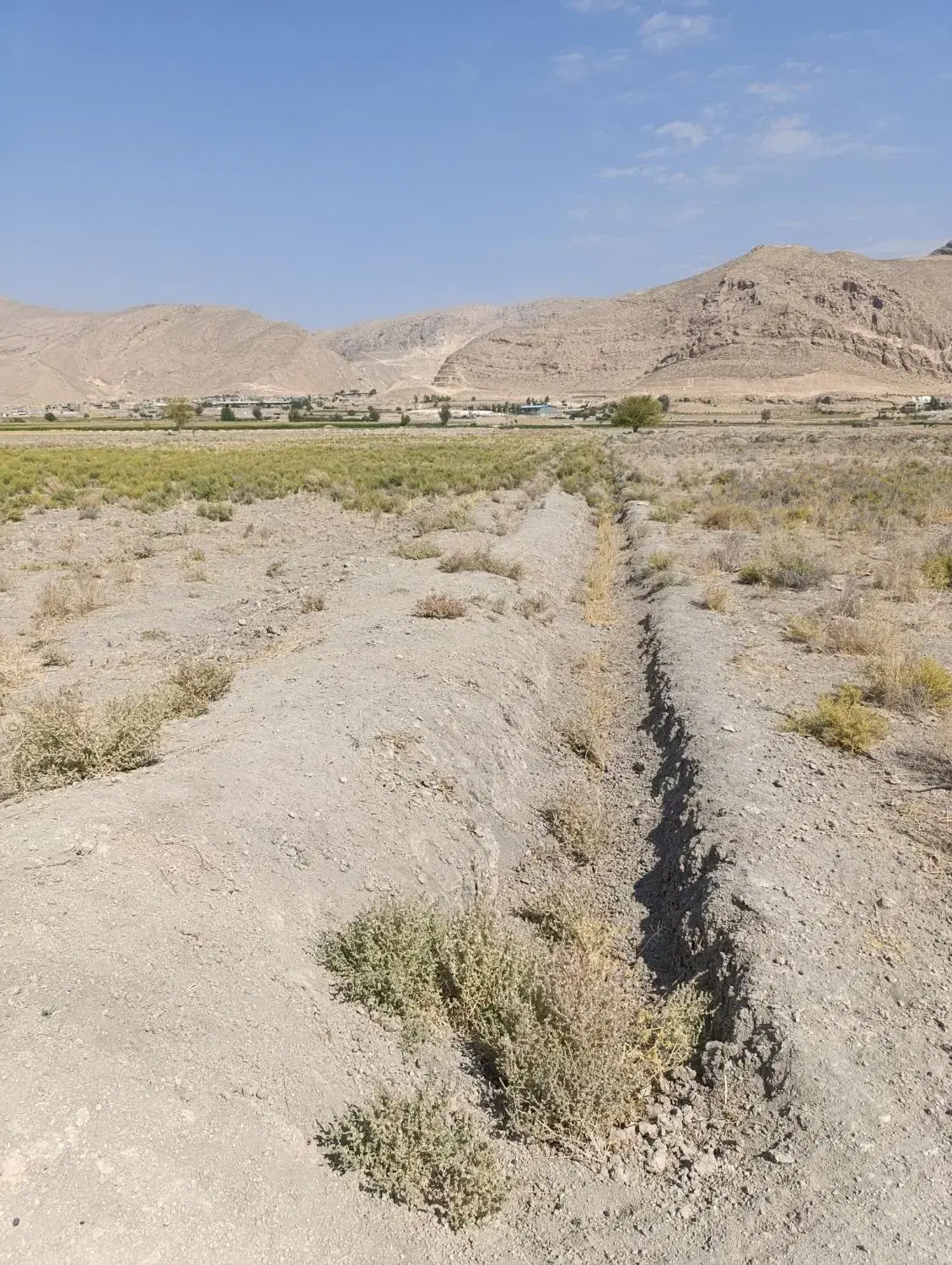 دریمی کمربندی غربی