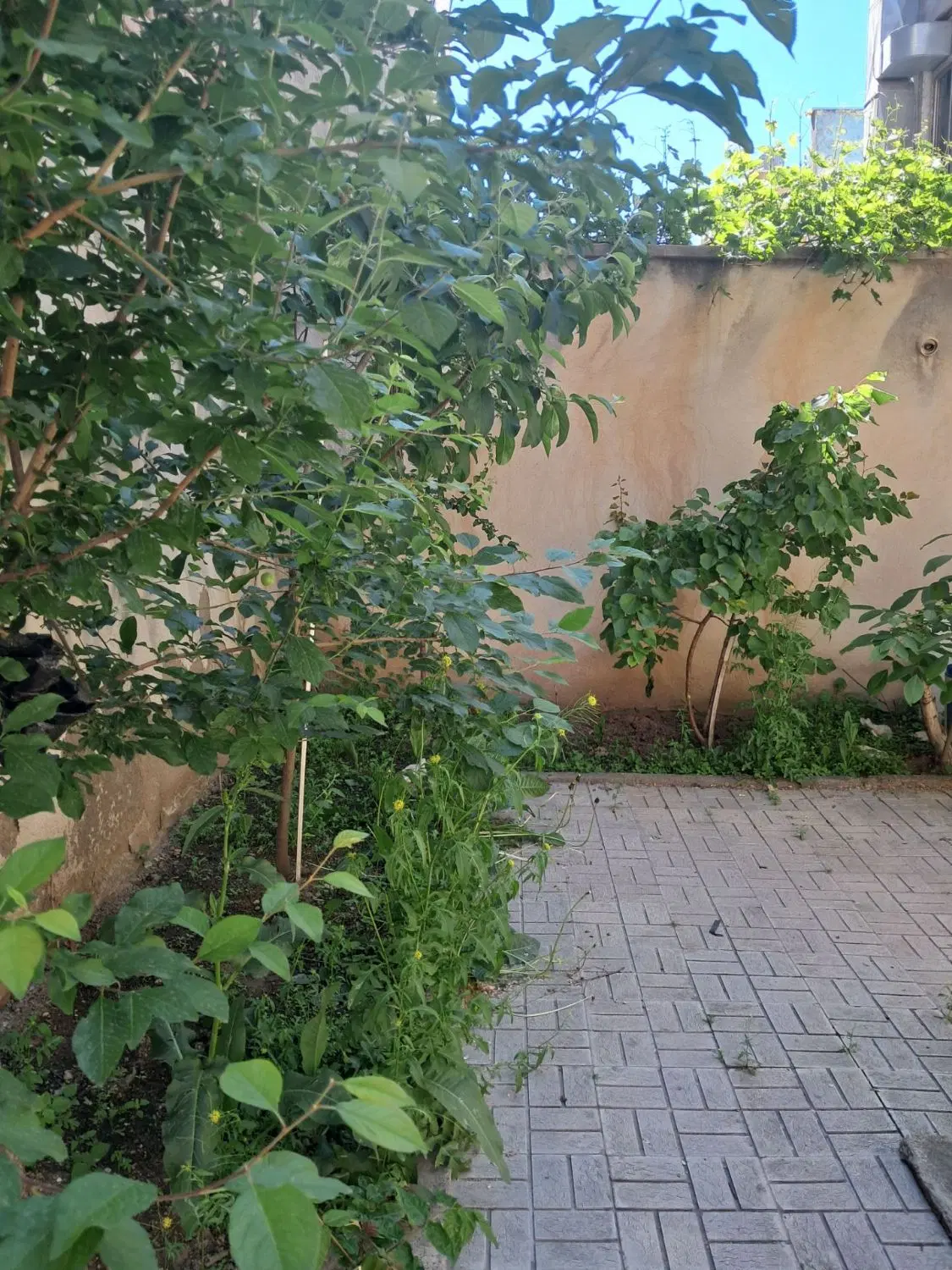 طبقه همکف از دو طبقه