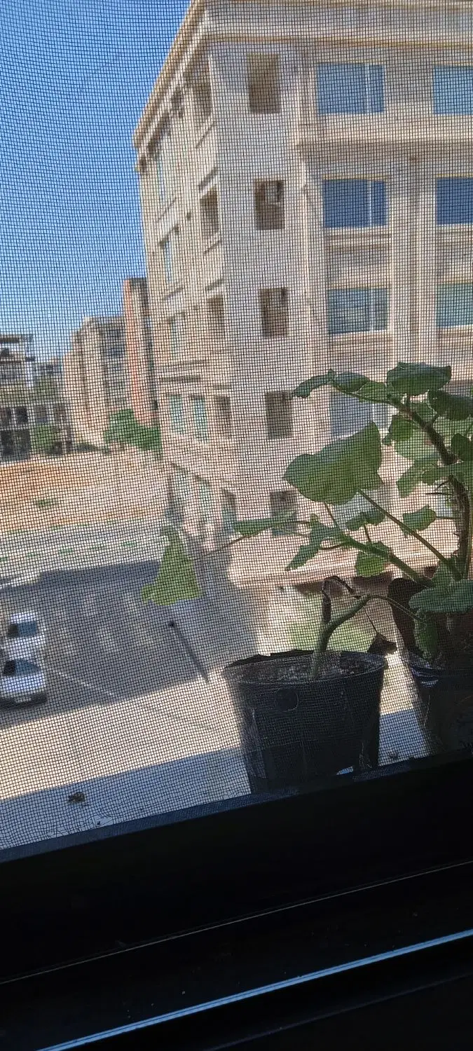واحد ۸۰متری  واقع در بلوارمجیدیه