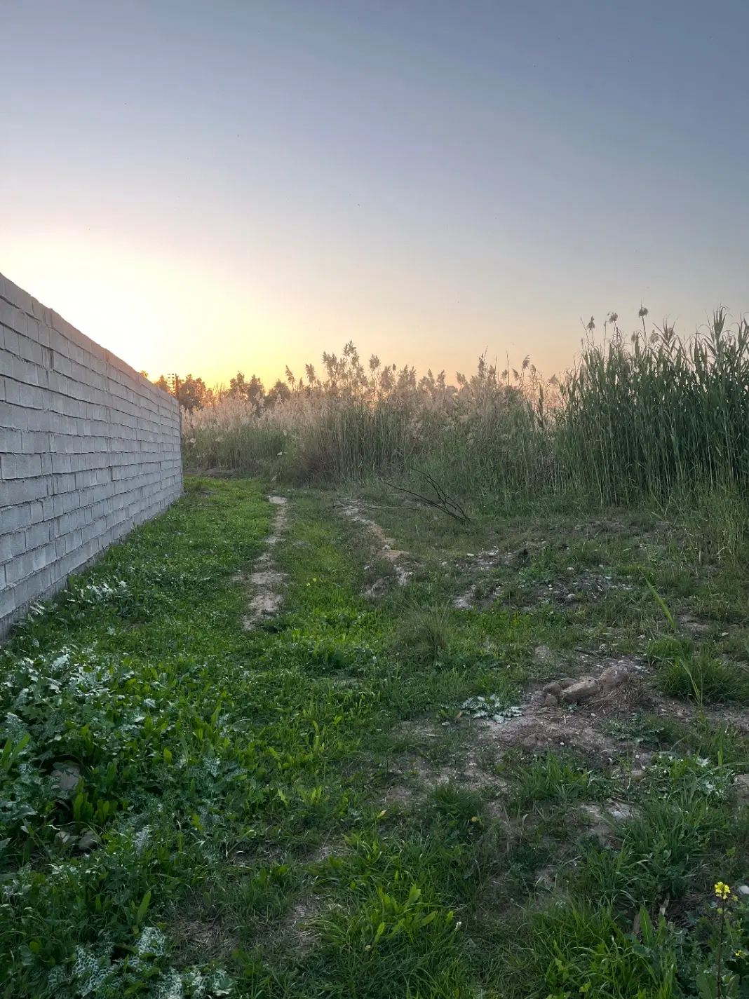 اجاره زمین کشاورزی