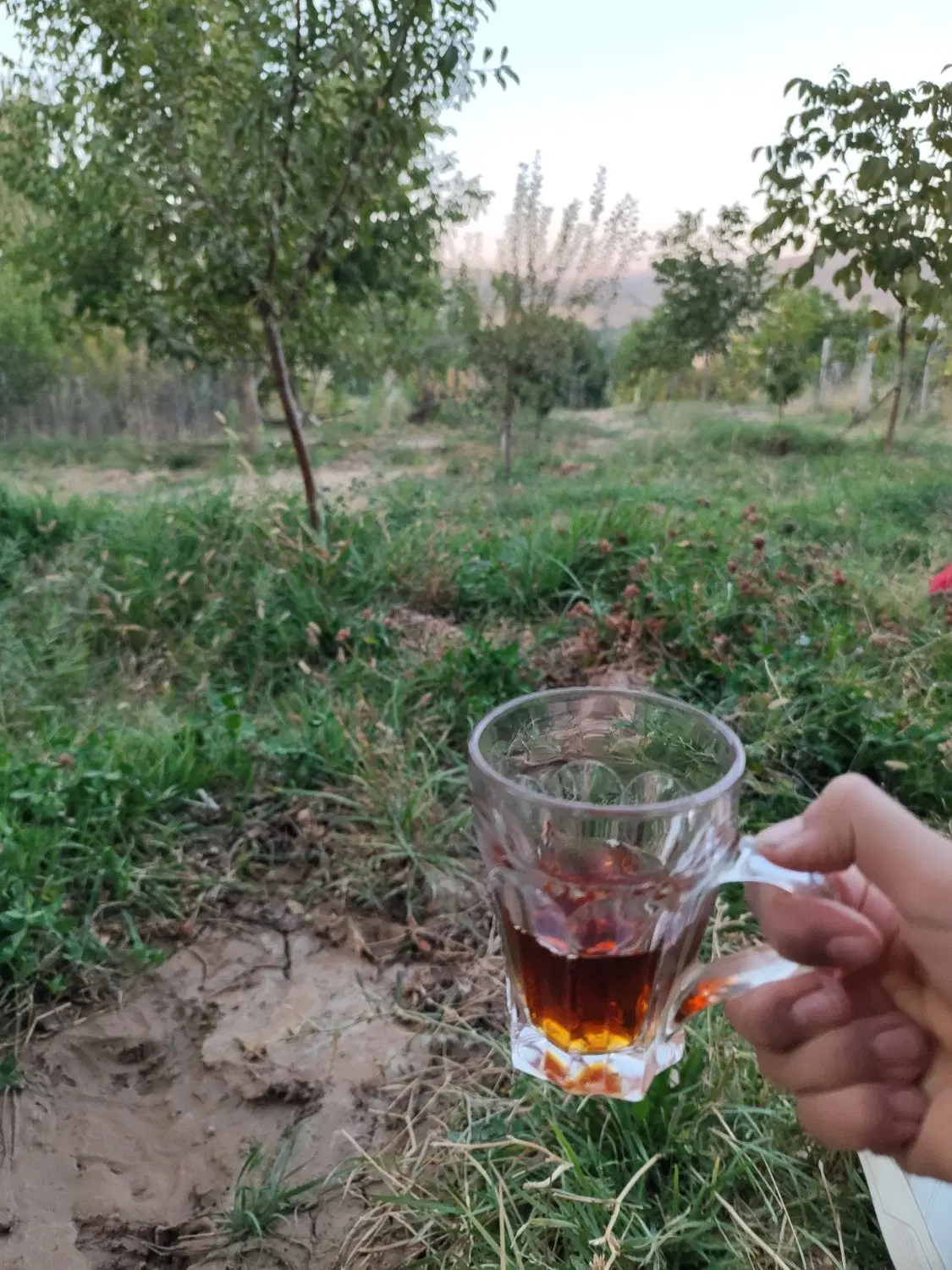 باغچه ۵۰۰ متری_کرکیخان