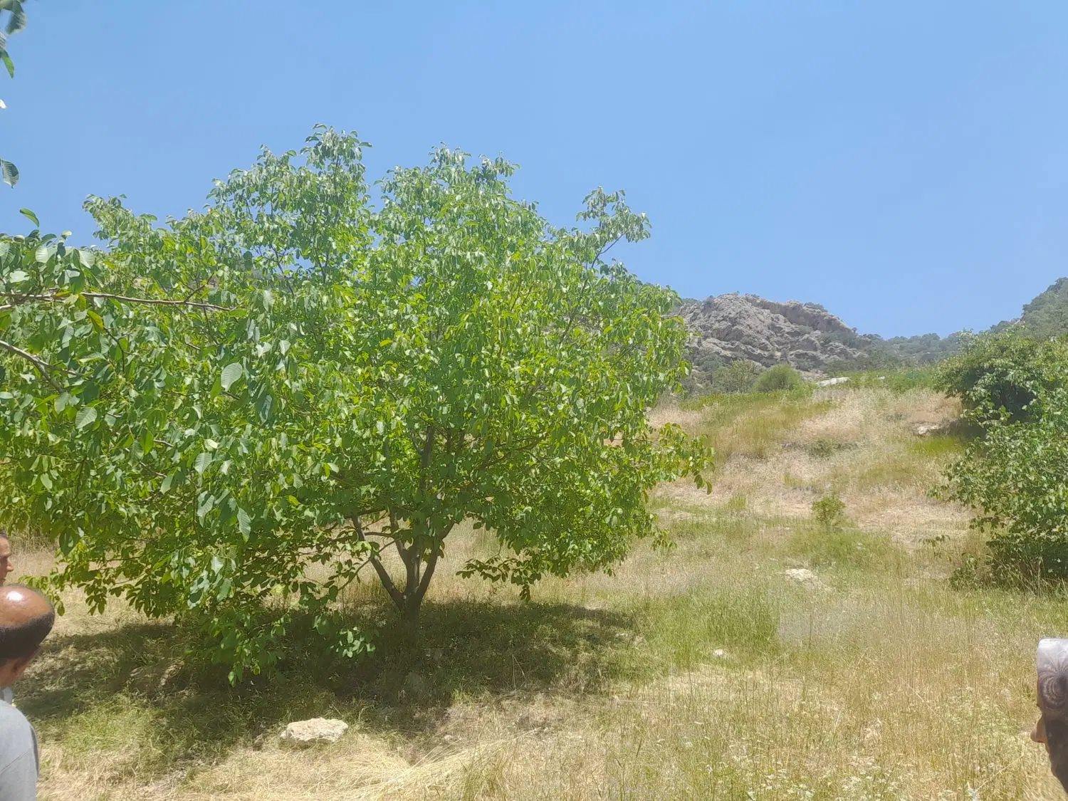 زمین پریکدان