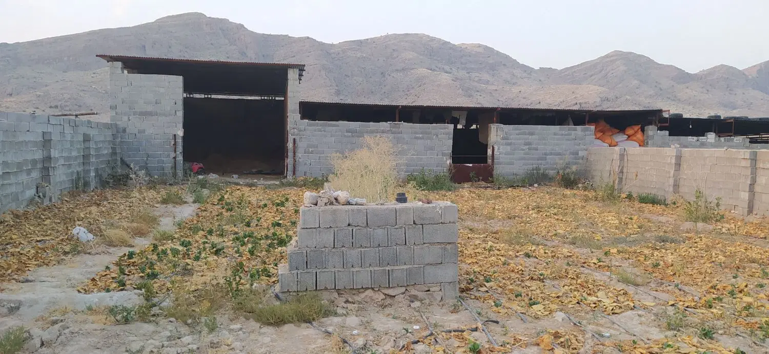 زمین