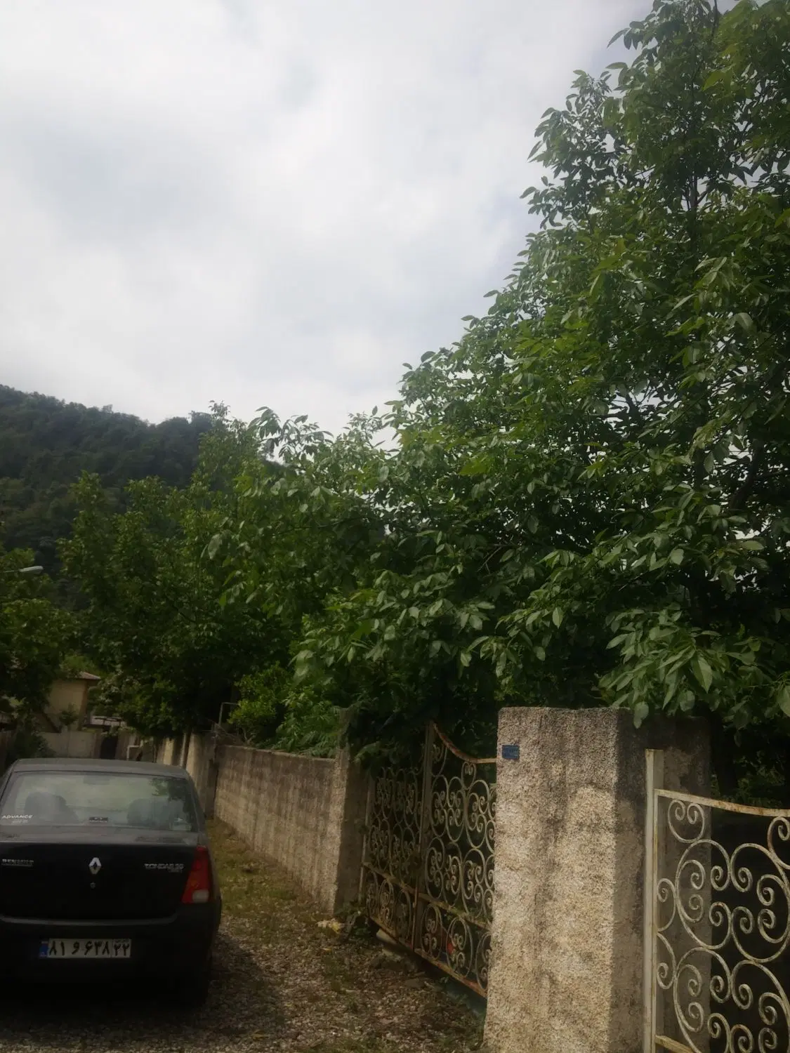 782 متر مربع سند تک‌برگ ششدانگ