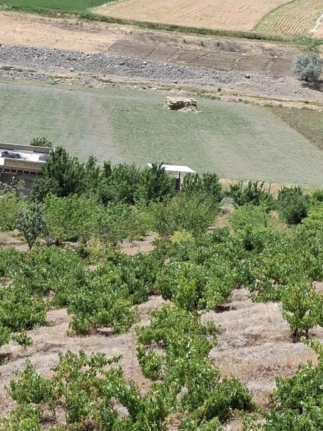 فروش باغ روستایی یغواسی
