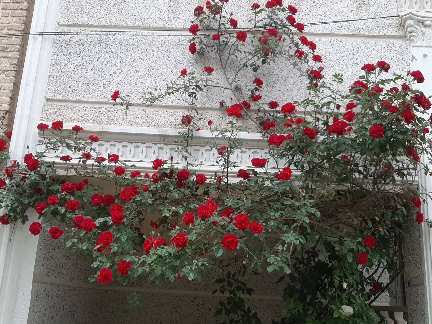 ویلا آپارتمان