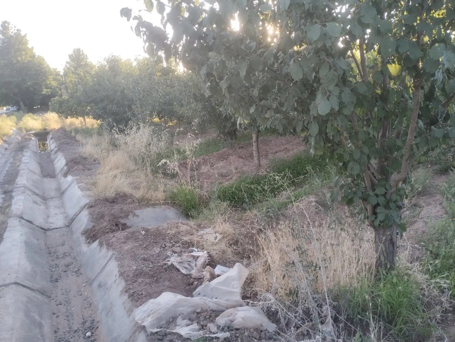 باغ فروشی