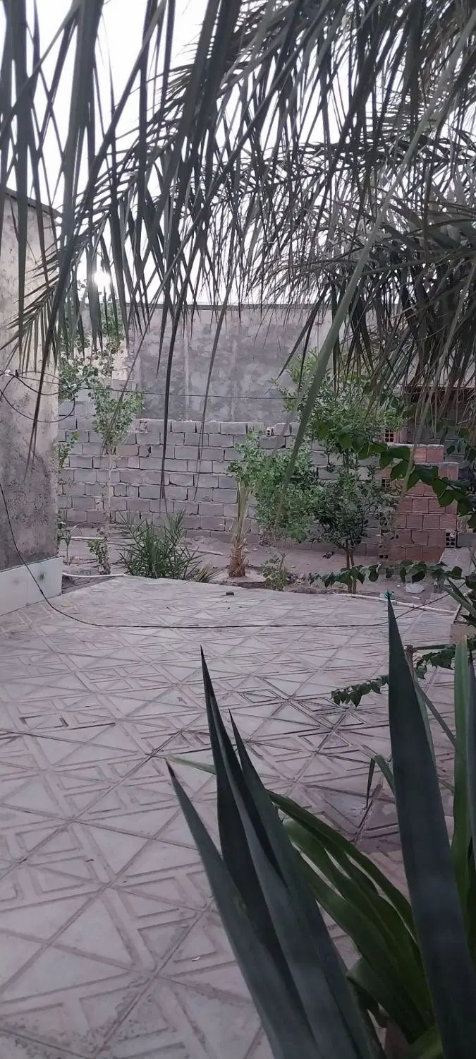 خانه امیر آباد