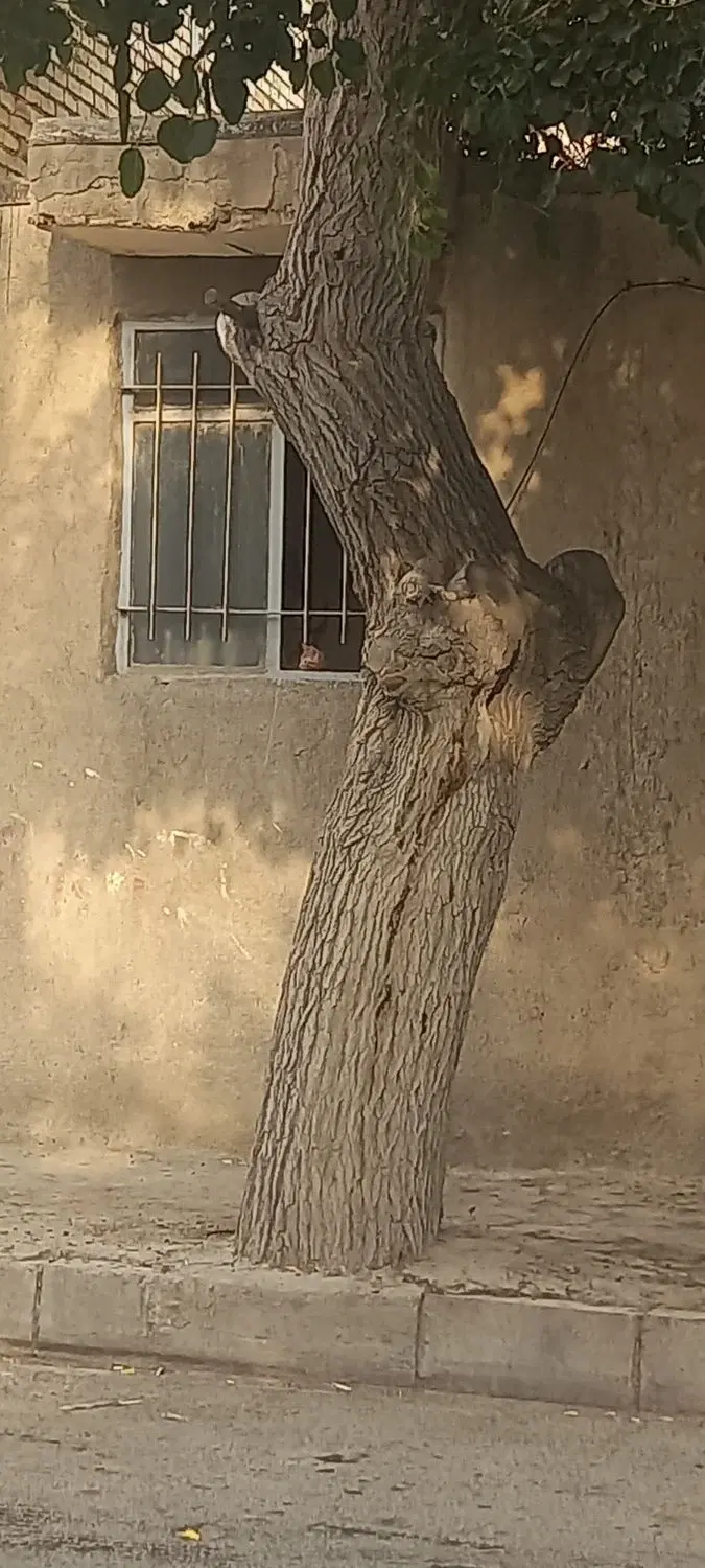 زمین فروشی