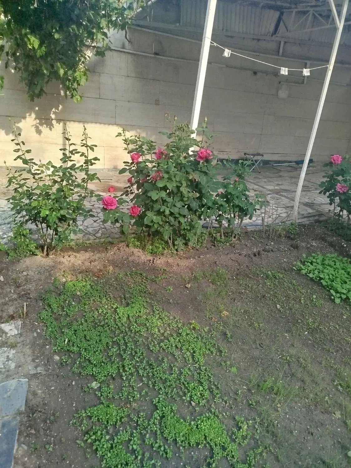 هفت تیر همکف ۳خواب