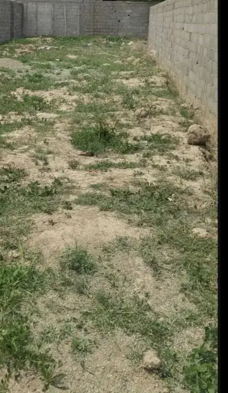زمین 100 متری چهارباغ