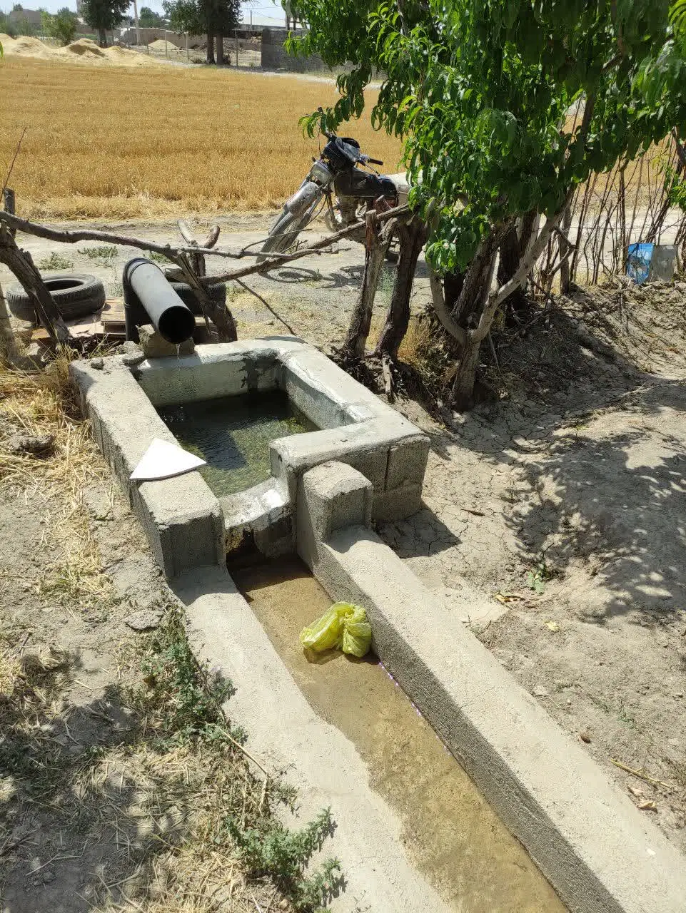 باغچه ۶۶۶ متر داخل شهر تنکمان هشتگرد