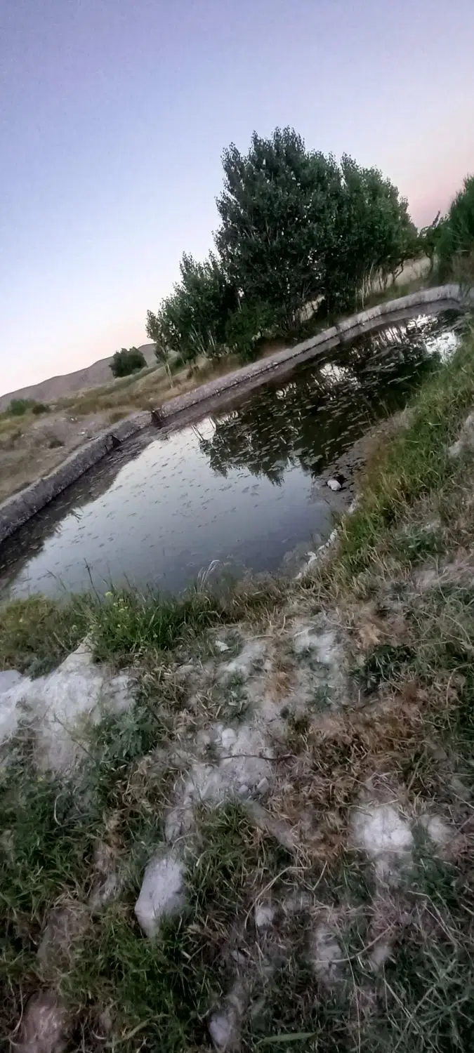 باغ سیب