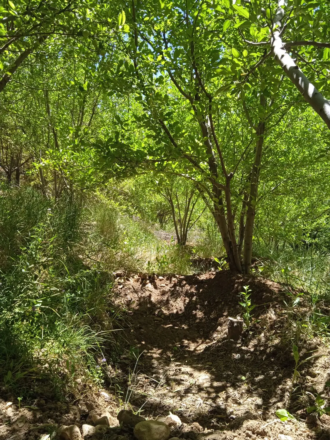 فروش خانه ویلایی روستایی