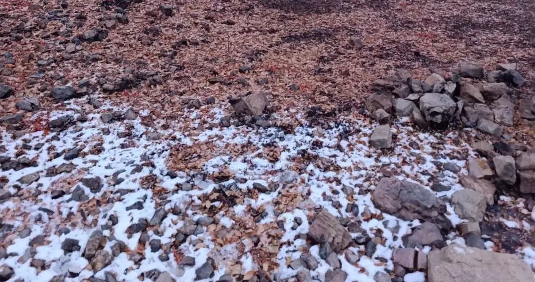 ۲۲۰ متر درب ساختمان روبرو دادگاه