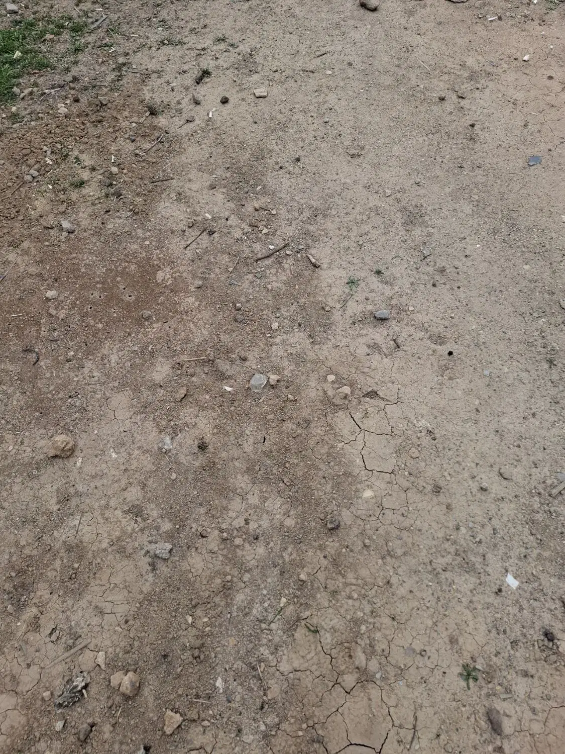 زمین تنگ کتویه