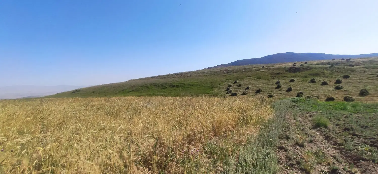 زمین ۲۰۰۰متر محدوده آلوارس