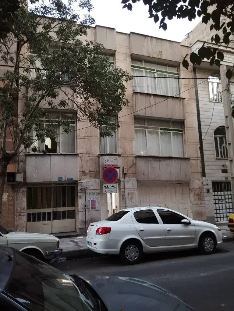 ملک جوادیه
