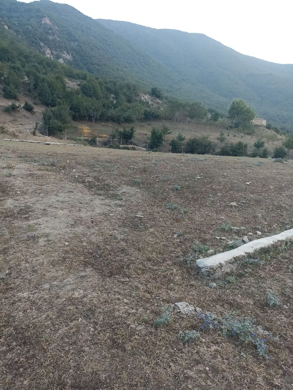 زمین ویو دار 1500متری روستای توریستی الستان